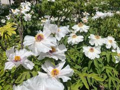 -河南省黄河迎宾馆