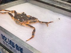 -盒马鲜生(红莲店)