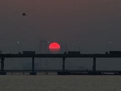 -宝安西湾红树林湿地公园