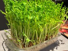 活体鲜豆苗-罗勒家·养生火锅· Bistro(大望路店)