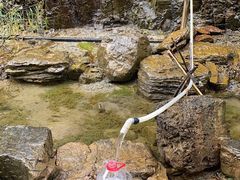 -天鹅湖生态旅游风景区