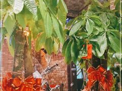 -那些年记忆烧烤