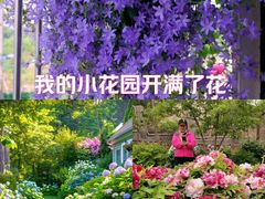 -云蒙山风景区