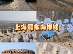 -南汇嘴观海公园