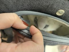 -宠颐生中康贝怡动物医院