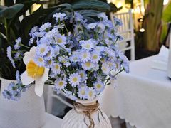 -天空花园餐吧·生日·团建(南山店)