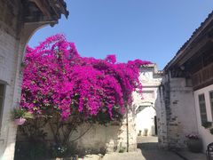 -金谷域澳洲庄园