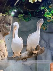 -Zoolung Zoolung动物主题公园(海信广场店)