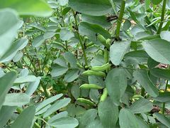 -驿舍·民國老营房院子私房菜(科学会堂店)