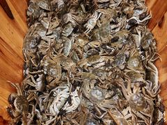 -初色海鲜自助(万丰路店)