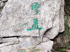 -梧桐山风景名胜区