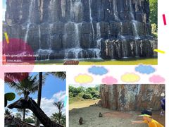 -海南热带野生动植物园