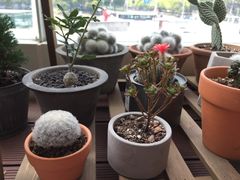 门面-SUPERMONKEY超级猩猩健身(中山公园店)