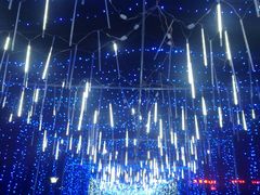 -长春公园(普阳街道)