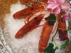 -三利音·东方司宴(外滩店)