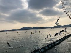 -蠡湖大桥公园