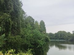 -东湖落雁景区