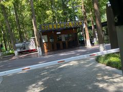 -黄海国家森林公园