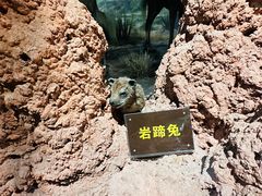 -陕西自然博物馆