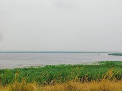 -白洋淀景区