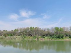 -南湖湿地公园