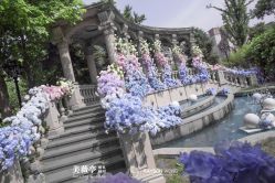 -美薇亭婚礼顾问