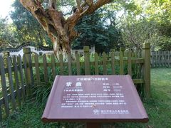 -南山风景名胜区
