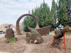 -东平国家森林公园