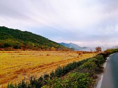 -塔川景区