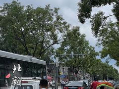 -北京国子监胡同