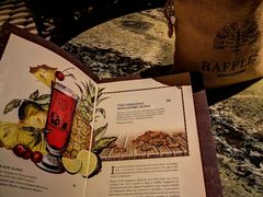 新加坡司令-Long Bar(莱佛士酒店)