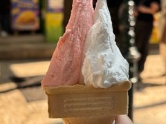 -柠檬车露(卖草地店)