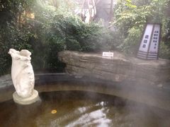-杭州第一世界大酒店·云曼温泉