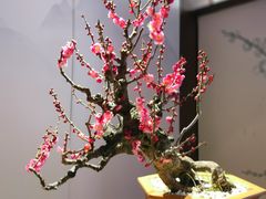 -颐和园