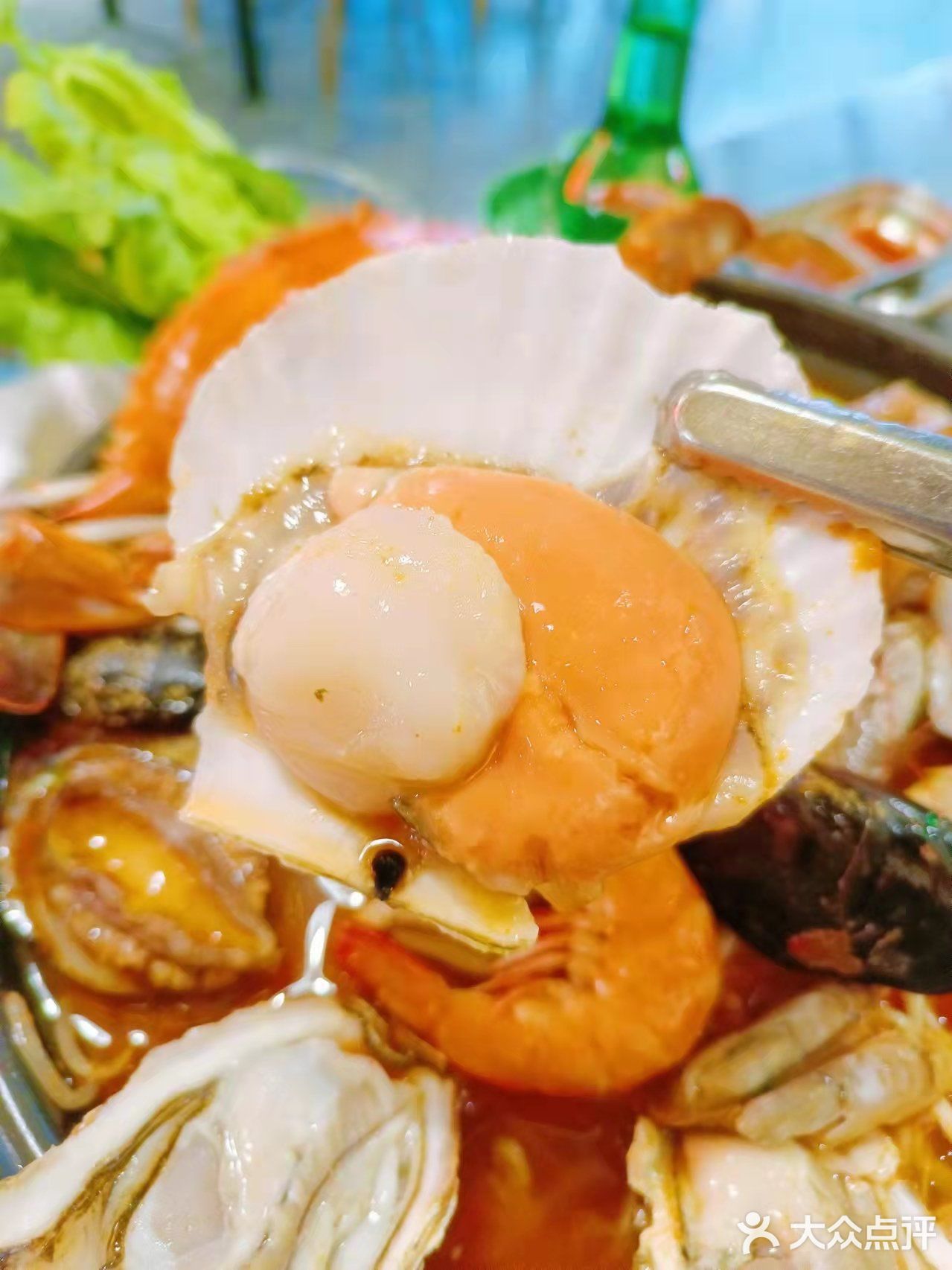 来自济州岛的海鲜，都在这家店咯