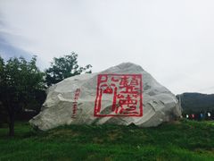 -金石滩蓝莓谷庄园