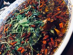 -杨记隆府(白象街店)
