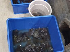 -元银甲·湖北地标美食(汉阳店)