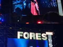 -黄海国家森林公园