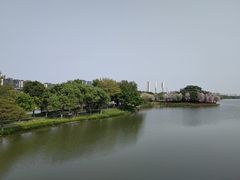 -顺峰山公园