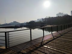 -月湖风景区