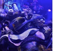 -成都浩海立方海洋公园