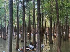 -捞渔河湿地公园