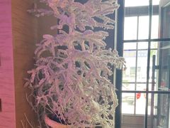 -山河屯铁锅炖(哈西站店)