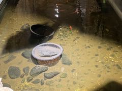 -邈墨茶馆(凤起路店)