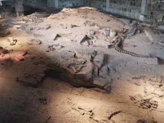 -自贡恐龙博物馆