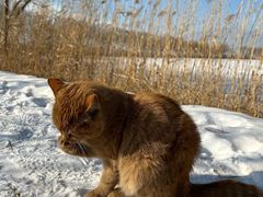 -野鸭湖国家湿地公园