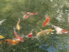 -春风习习