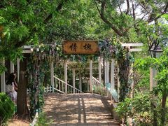 -燕窝岭