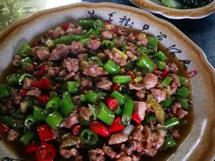 -青城甲(青城山店)